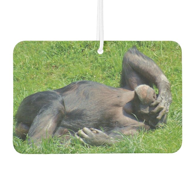 Funny Chimpanzee Photo Air Freshener (Front)