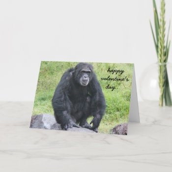 Funny Chimpanzee Valentine  Wanna Monkey Around?! Holiday Card by PicturesByDesign at Zazzle