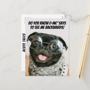 Funny Chinese Pug Cute Puppy Dog Animal Theory Holiday Postcard