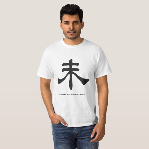 Funny Chinese Symbol T-Shirt | Zazzle