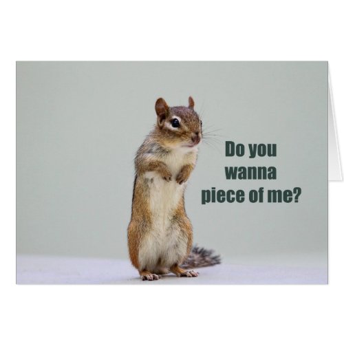 Funny Chipmunk Picture