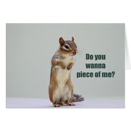 Funny Chipmunk Picture Cards (Front Horizontal)