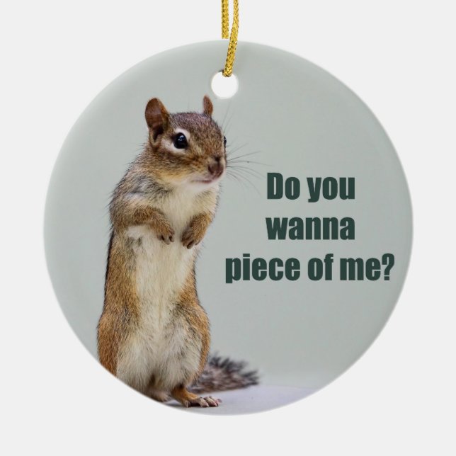 Funny Chipmunk Picture Ceramic Ornament (Front)