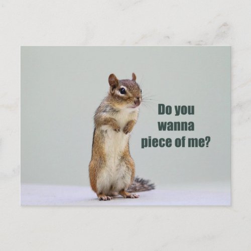Funny Chipmunk Picture Postcard