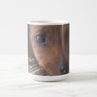 Funny Chiweenie Guilty Dog Mug - Wasn't Me But It