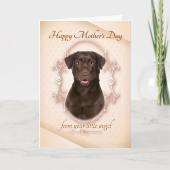 Funny Chocolate Lab Mother's Day Card by ForLoveofDogs at Zazzle