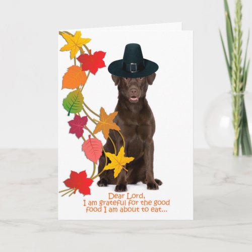 Funny Chocolate Lab Thanksgiving Card