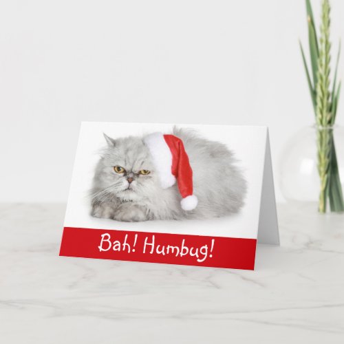 Funny Christmas  Bah Humbug Cat Holiday Card
