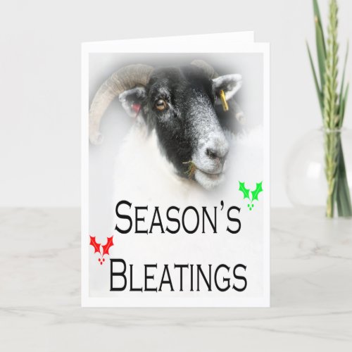 Funny Christmas Bleatings Sheep Card