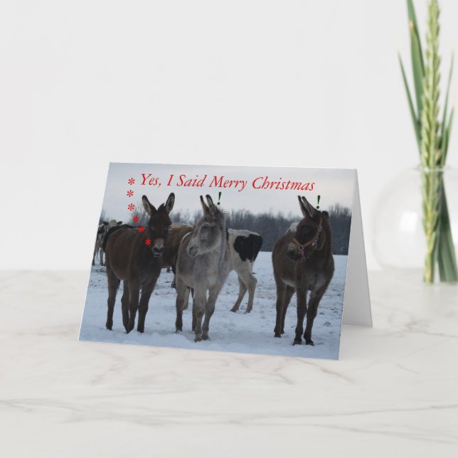 Funny Christmas Card (Front)