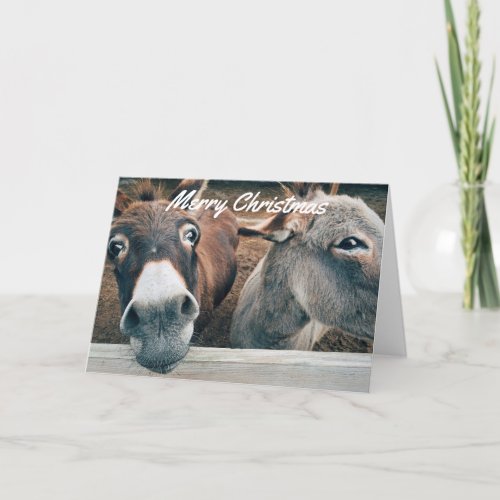 Funny Christmas Card _ Donkey