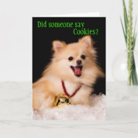 Funny Christmas card from the Dog