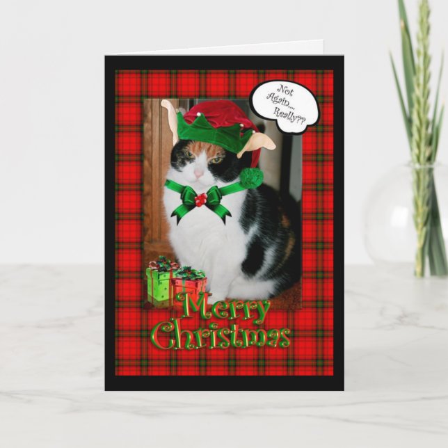 Funny Christmas card, grumpy cat Holiday Card (Front)