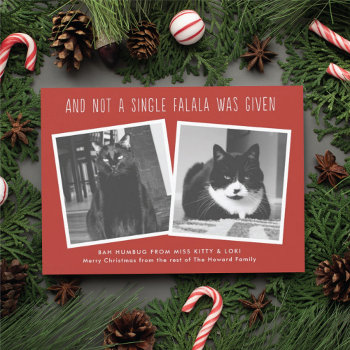 Funny Christmas Cards For Naughty Pet Owners by BanterandCharm at Zazzle