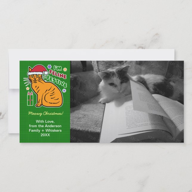 Funny Christmas Cat Feline Festive Pun Pet Cards (Front)