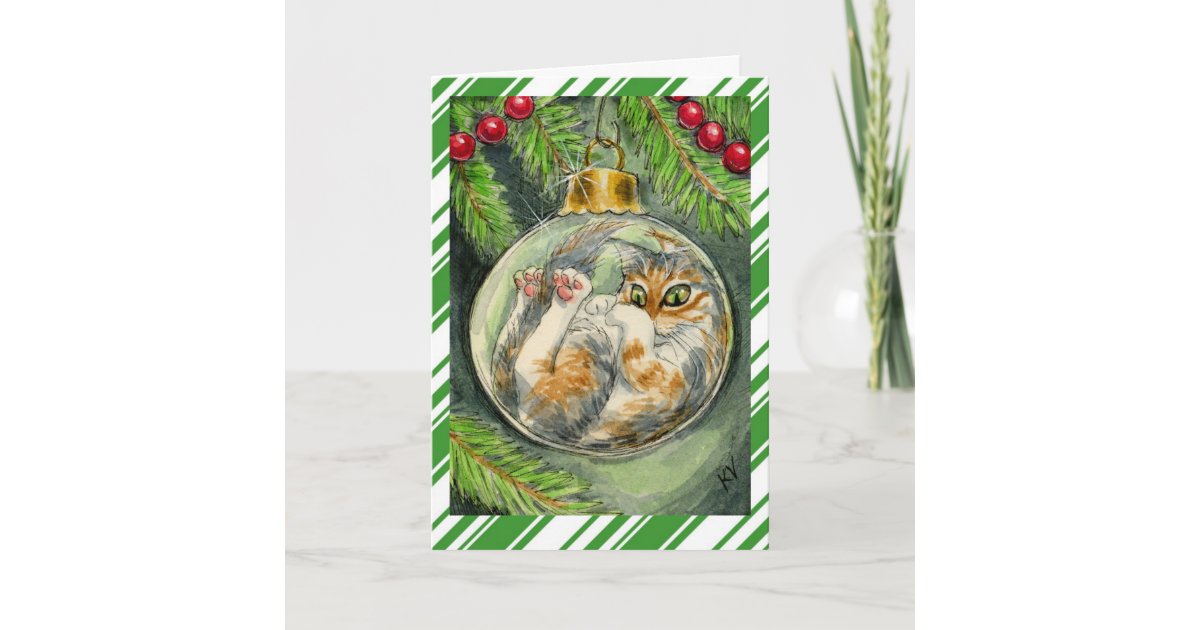 Funny Christmas Cat greeting card | Zazzle.com