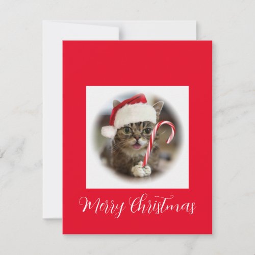 Funny Christmas Cat Holding Candy Cane Holiday Card