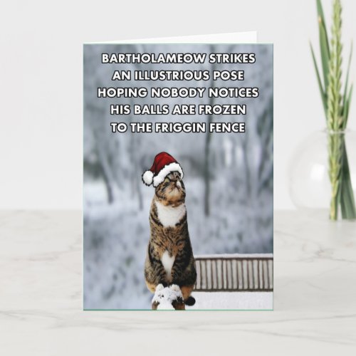 Funny Christmas cat Holiday Card