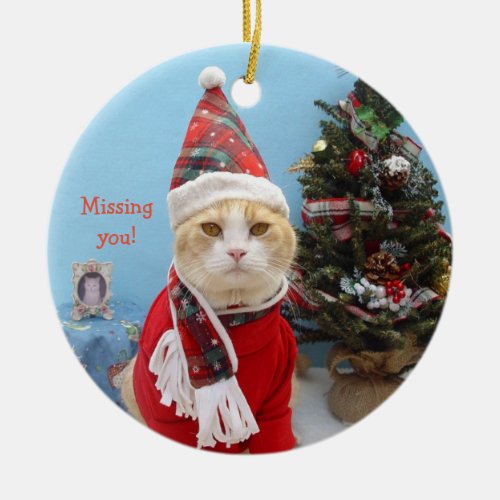 Funny Christmas Cat Missing You Ceramic Ornament