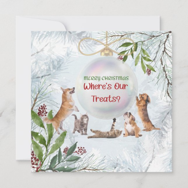 Funny Christmas Cats and Dogs: Cute Animals Card (Front)