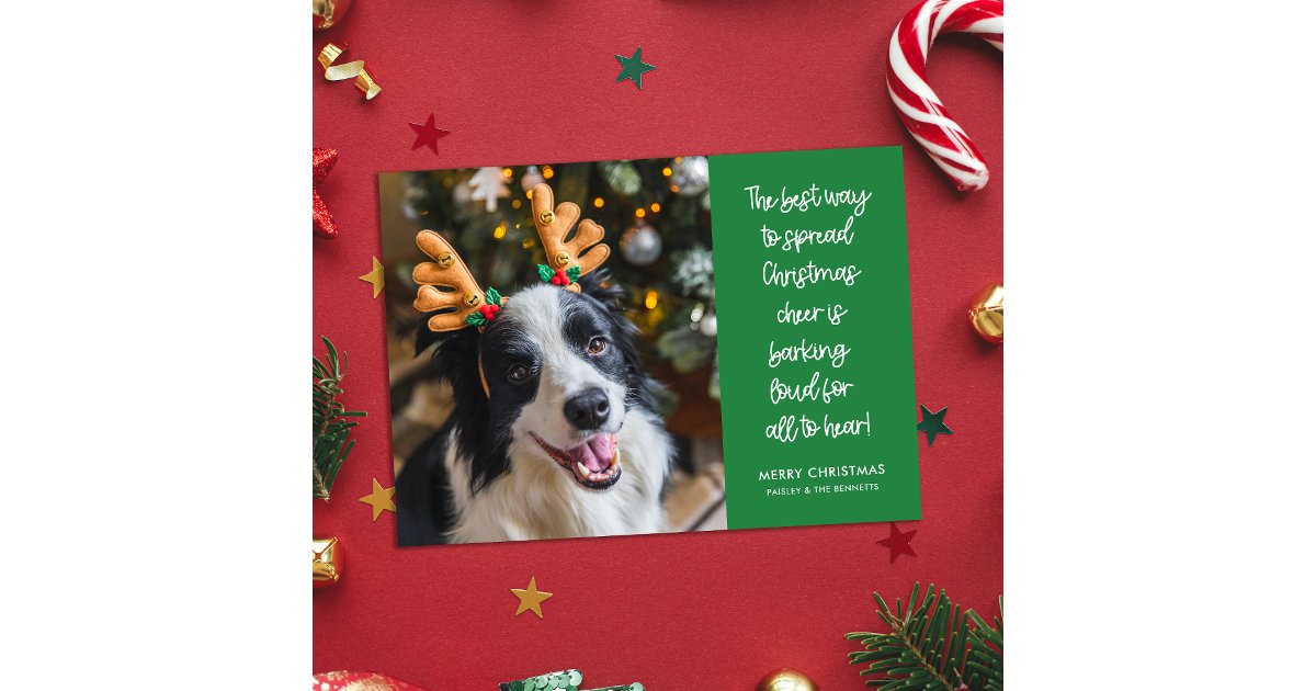 Funny Christmas Cheer Dog Photo Holiday Card | Zazzle
