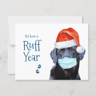 Get Cat Puns For Christmas Cards Gif