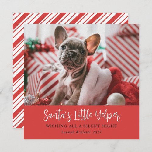 Funny Christmas Cute Pet Photo Red Holiday Card