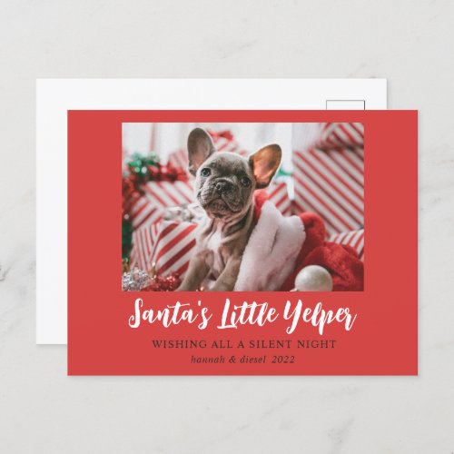 Funny Christmas Cute Pet Photo Red White Holiday Postcard