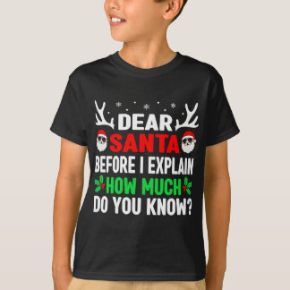 Funny Christmas Dear Santa I Can Explain T-Shirt