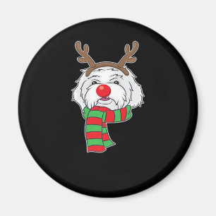 Funny Christmas Dog Xmas Reindeer Maltese Dog Holi Magnet