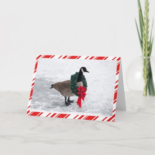 Funny Christmas Goose with Wreath Holiday Card