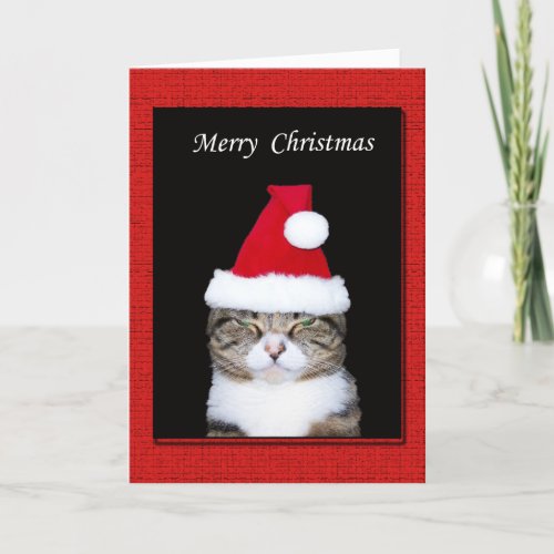 Funny Christmas Greeting Card Cat with Santa hat Holiday Card
