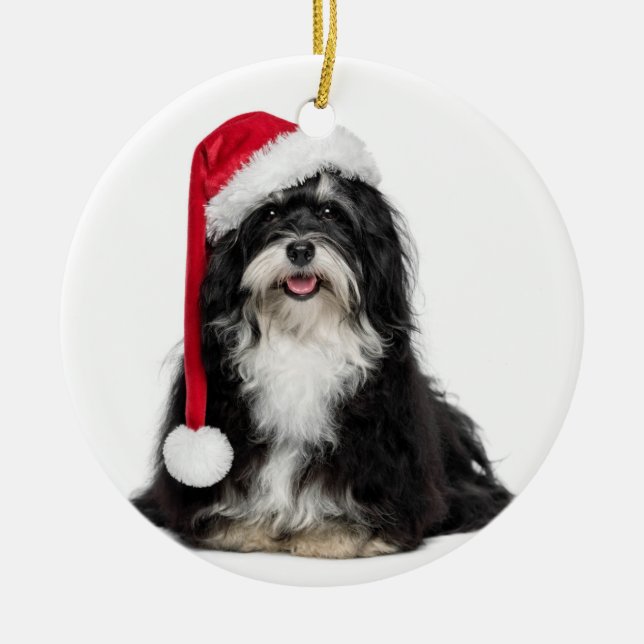 Funny Christmas Havanese Dog With Santa Hat Ceramic Ornament (Front)