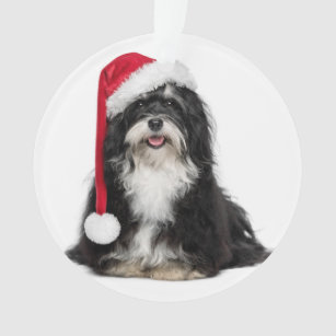 Funny Christmas Havanese Dog With Santa Hat Ornament