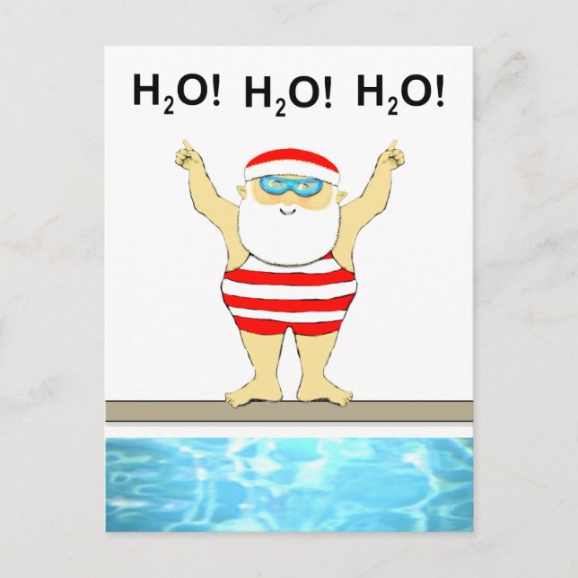 Funny Christmas Holiday Postcard (Front)