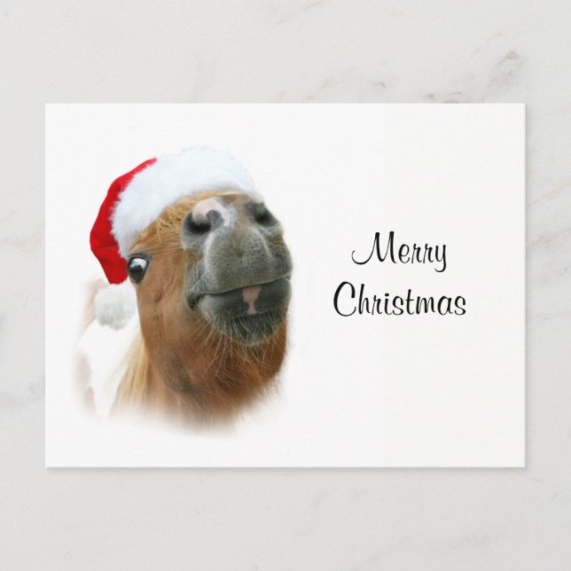 Funny Christmas horse Holiday Postcard (Front)