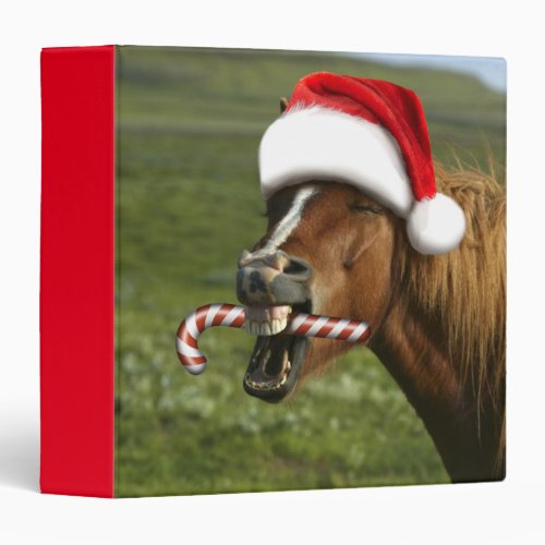Funny Christmas horse with Santa hat smiling 3 Ring Binder