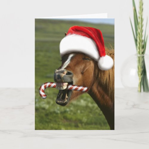 Funny Christmas horse with Santa hat smiling Card