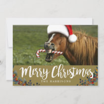 Funny Christmas horse with Santa hat smiling Holiday Card