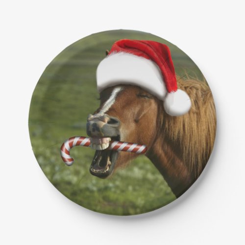 Funny Christmas horse with Santa hat smiling Paper Plates