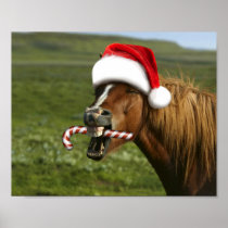 Funny Christmas horse with Santa hat smiling Poster