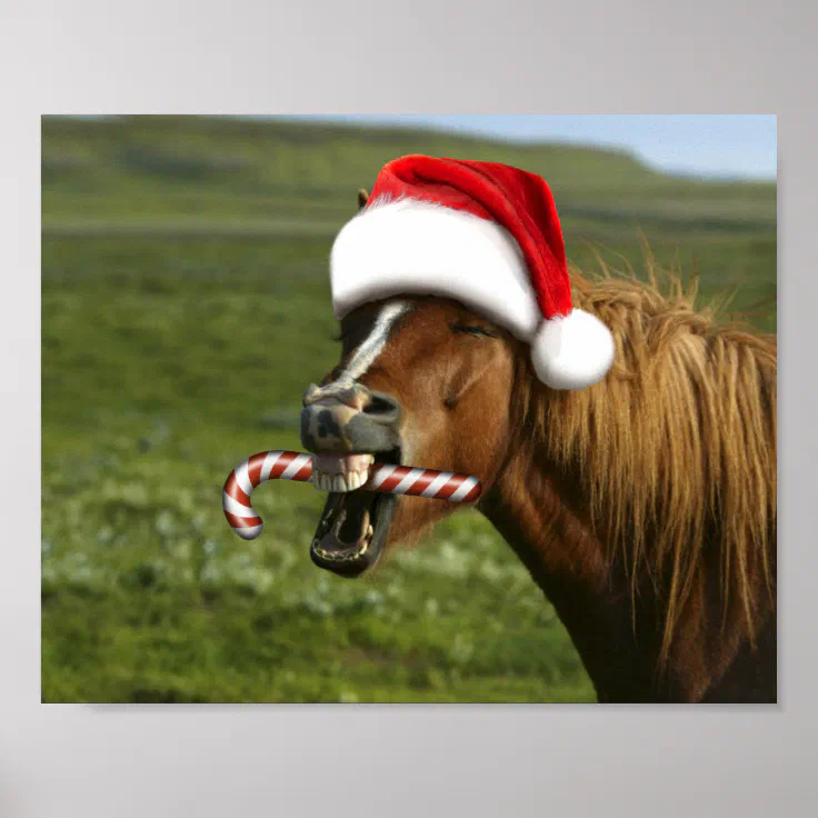 Our animal family Christmas wish list means fun and food for our horses.