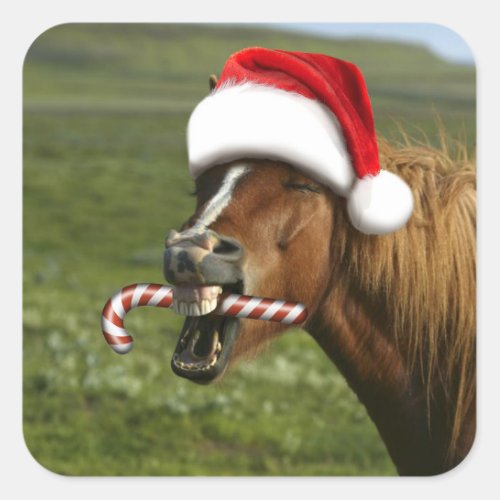 Funny Christmas horse with Santa hat smiling Square Sticker
