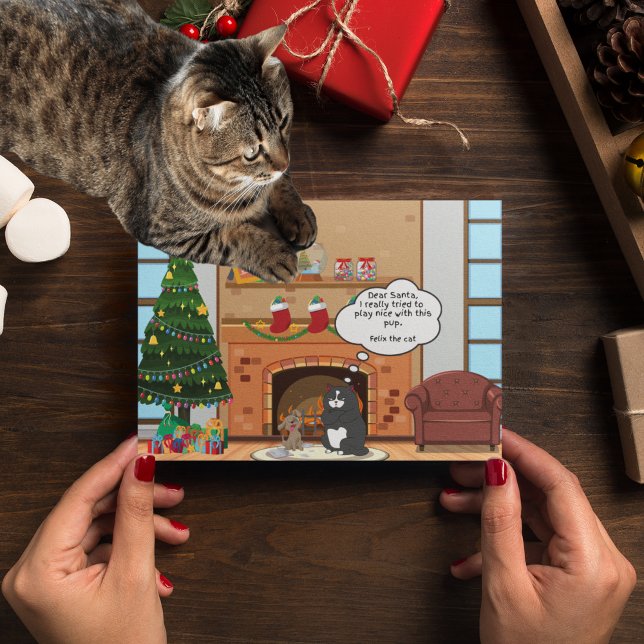 Funny Christmas Humor Bah Hum Cat Holiday Postcard (Creator Uploaded)