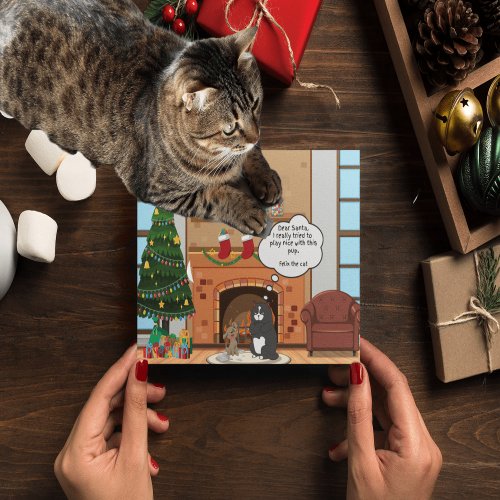 Funny Christmas Humor Bah Hum Cat Holiday Postcard