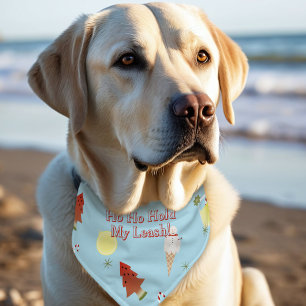 Funny Christmas in July Ho Ho Hold My Leash Pet Bandana Collar