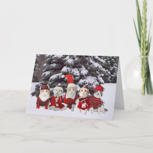 Funny Christmas Kitty Cats Holiday Card (Front)