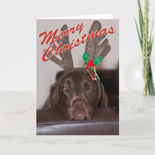 Funny Christmas Labrador With Glitter Antlers Holiday Card