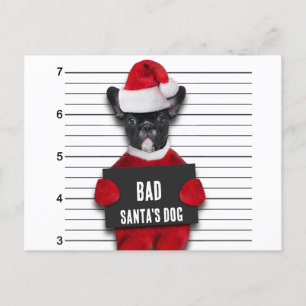 Funny Christmas Mugshot Bad Santa's Dog Holiday Postcard
