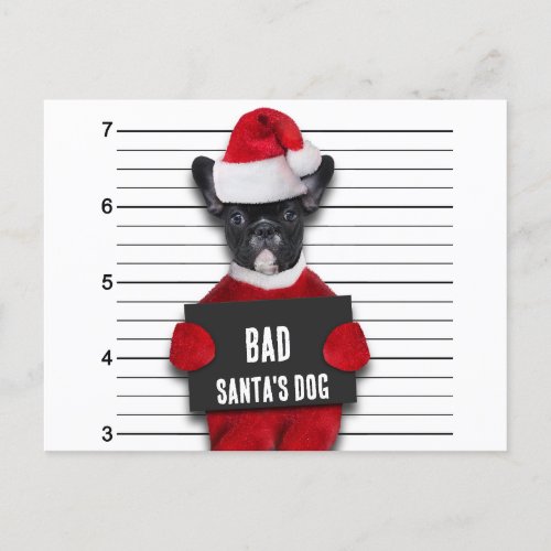 Funny Christmas Mugshot Bad Santas Dog Holiday Postcard
